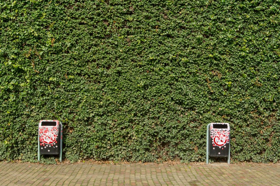 Two metal waste bins with black backgrounds and red and white graffiti designs are positioned on a paved sidewalk in front of a dense green hedge. The bins are slightly apart, each standing close to the hedge, which extends across the entire background, providing a uniform backdrop of greenery. The sidewalk consists of small rectangular bricks arranged in a pattern, with some scattered leaves near the base of the bins. The bins have open tops for waste disposal and are part of the outdoor environment associated with residential or commercial property. The scene appears to be in a suburban or urban area, where the bins are placed for waste collection related to house removals, packing, or general waste disposal during moving processes facilitated by Man and Van Palmers Green, a professional removals service. Natural daylight illuminates the scene, highlighting the texture of the hedge, the graffiti patterns on the bins, and the brick pavement, reflecting a typical outdoor setting connected with loading or disposal areas during a home relocation or moving service.