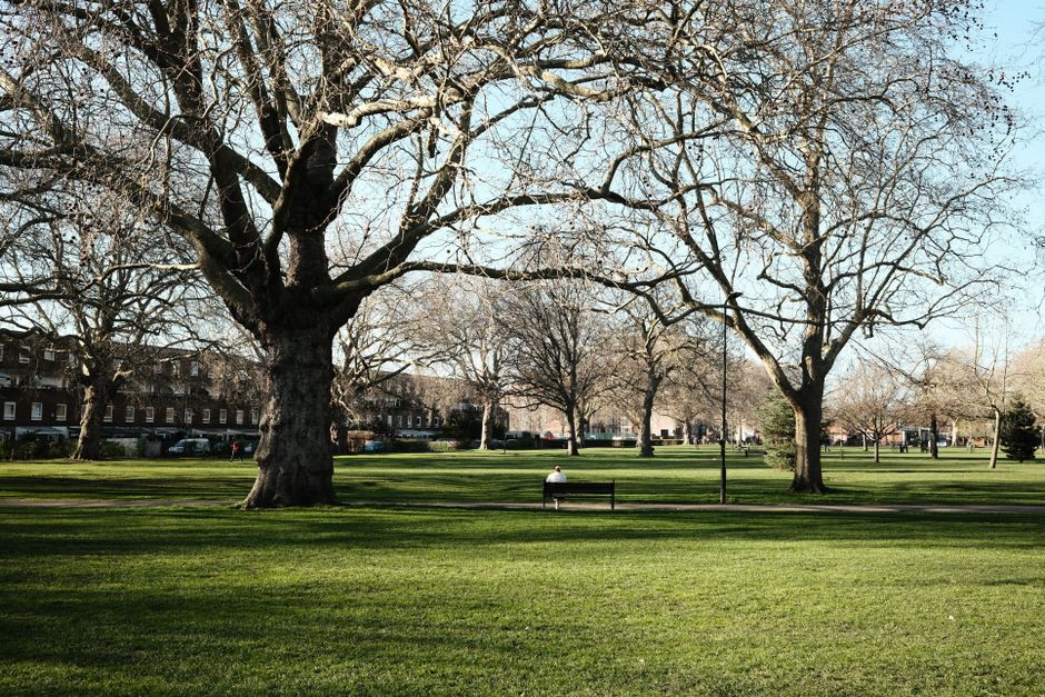 A row of Victorian-style terraced houses with brick facades and large front windows, situated behind a spacious grassy park area with a few leafless and some budding trees. The sky above is partly clo